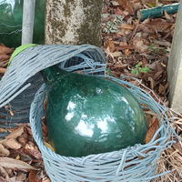 Damigiane antiche di vetro soffiato