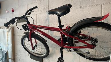 Bicicletta 20