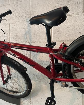 Bicicletta 20