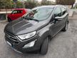 Ford EcoSport 1.0 EcoBoost 100 CV Titanium