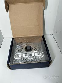 Corona ju ju Sun race