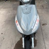 Piaggio Zip 50 2T - Malossi 7.1