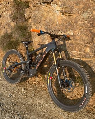 Santa cruz carbonio