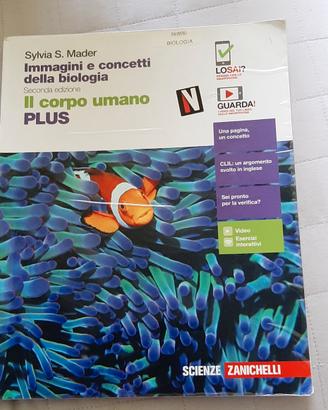 libro scuola superiore