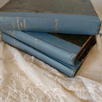 Raccolta rara  Massaia  libri collezionismo