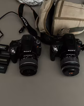 2 sony alpha a290+a390