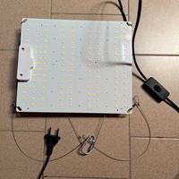 Lampade coltivazione