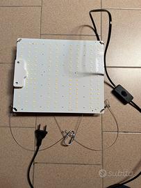 Lampade coltivazione