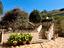 Immagine 24
