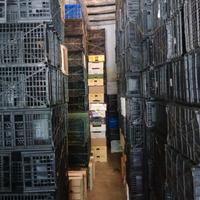 Cassette ortofrutticoli