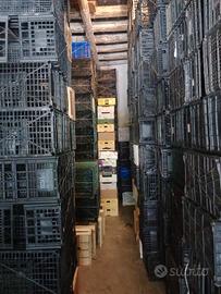 Cassette ortofrutticoli