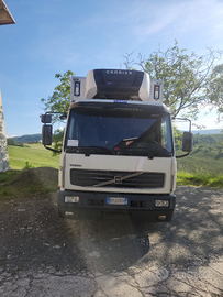 Camion volvo fl250 cella frigo