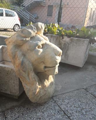 Statue leone artigianali in cemento e gesso – H 55