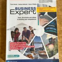 Business expert, inglese