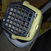 trasportino e sabbietta