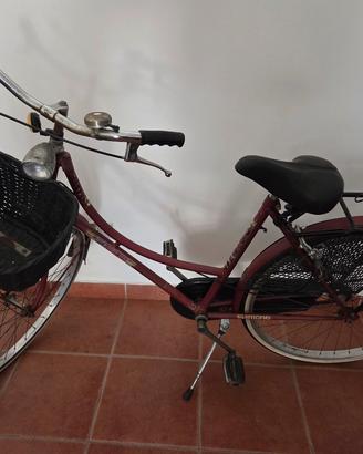 bicicletta da donna