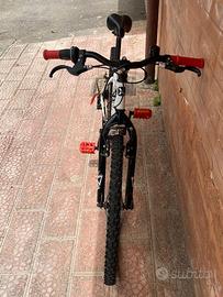 Bicicletta per anni 12-14