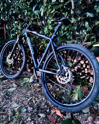 Scoot scale 40