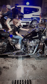 Harley sotfail heritage