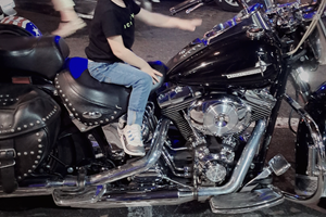 Harley sotfail heritage