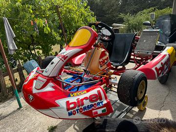 Go kart 100 liquido