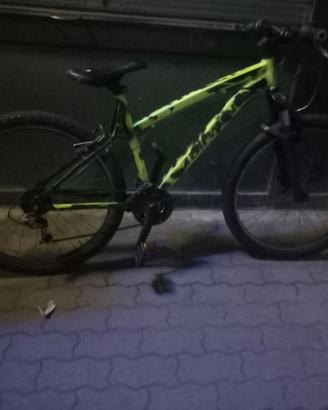 Bici bitwin