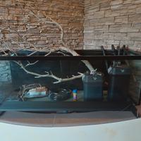 acquario 400l