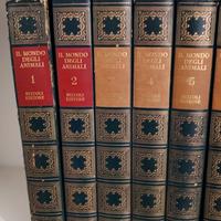 Enciclopedia Animali Rizzoli Editore 6 volumi