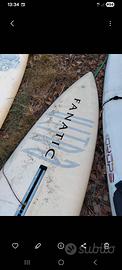 Tavole surf