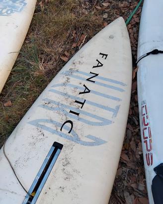 Tavole surf