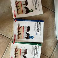 Libri di matematica Zanichelli- Multim. verde/blu