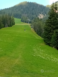 Cortile spiazzo terreno giardino recinto