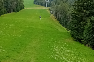 Cortile spiazzo terreno giardino recinto
