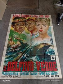 il delfino verde 