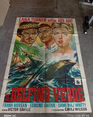 il delfino verde 