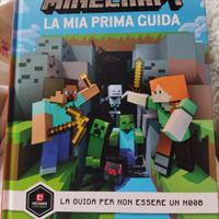 Minecraft, la mia prima guida