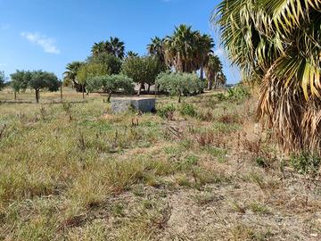 Vendita terreno agricolo, Marsala ( Stagnone)
