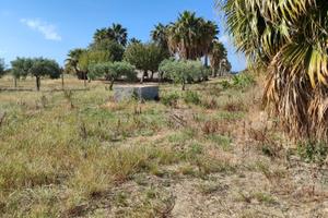 Vendita terreno agricolo, Marsala ( Stagnone)