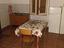 Immagine 3