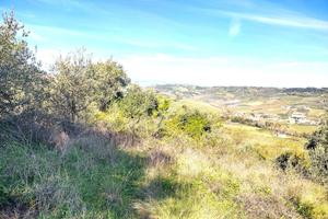 Terreno Agricolo Miglianico [VCH25108VRG]