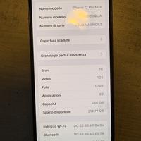 iPhone 12 Pro Max