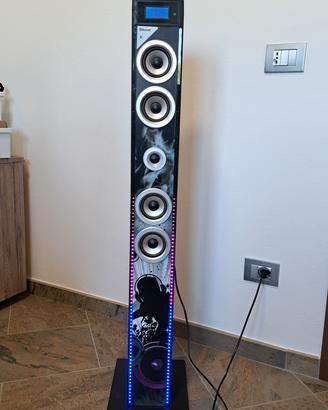Altoparlante Bluetooth a torre , radio fm, riprodu