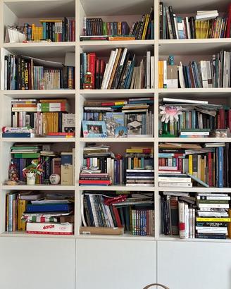 Soggiorno libreria e parete attrezzata