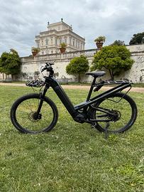 Riese & Muller Homage 4 GT rohloff HS Speed