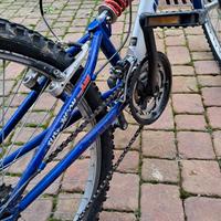 Bicicletta. Costo  Euro 50