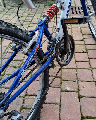 Bicicletta. Costo  Euro 50