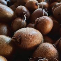 KIWI NATURALI 1,50€/kg