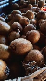 KIWI NATURALI 1,50€/kg