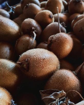 KIWI NATURALI 1,50€/kg