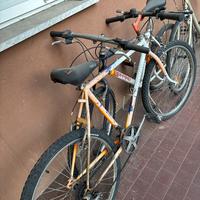 Bici mountain bike legnano